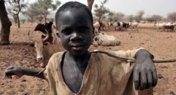 Angola apela CPLP a travar trabalho infantil